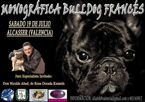 monografica bulldog frances Alcasser