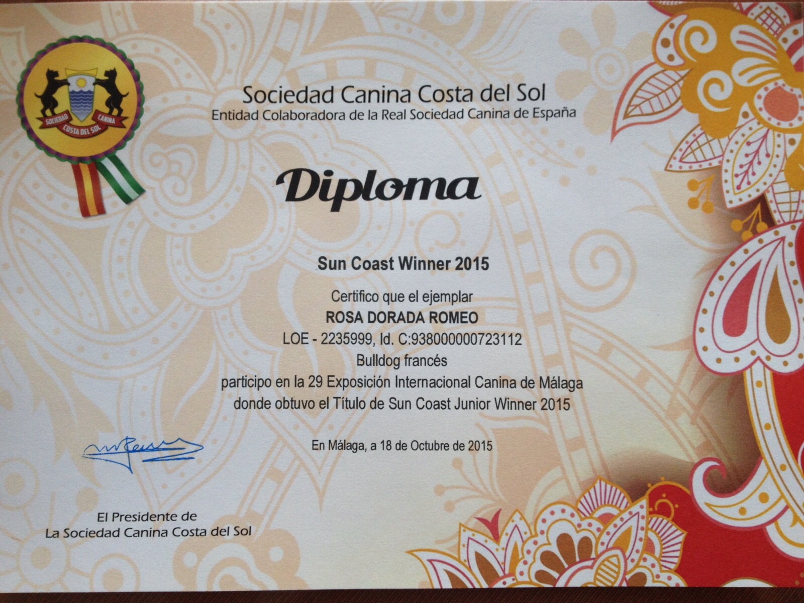 diploma del bulldog frances Romeo en Malaga 2015